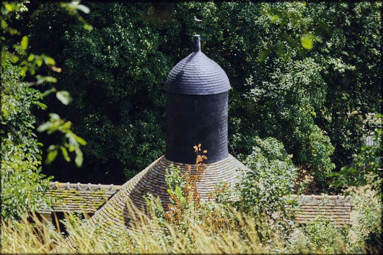 Colombier : toiture