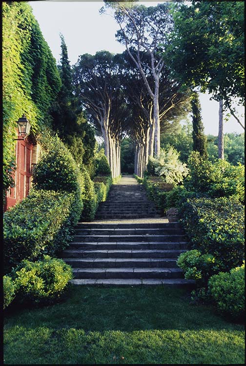 Parc : escalier et allée d’arbres