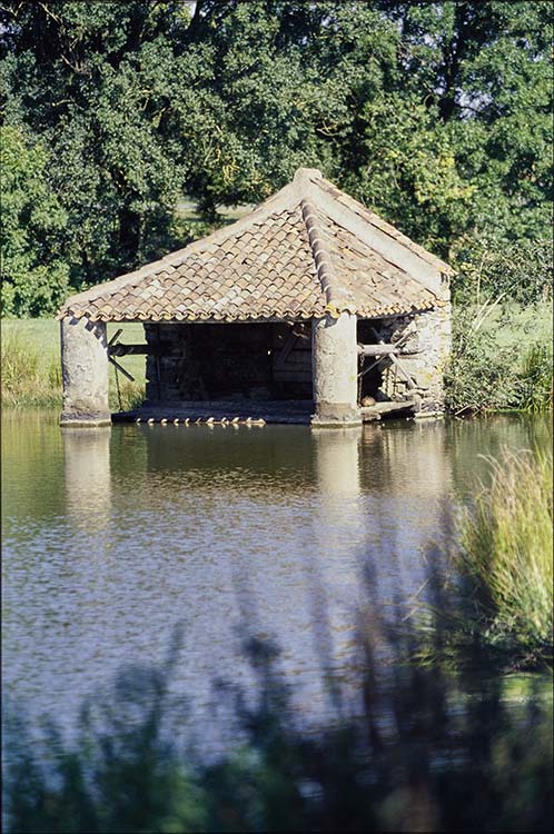 Parc : étang et lavoir