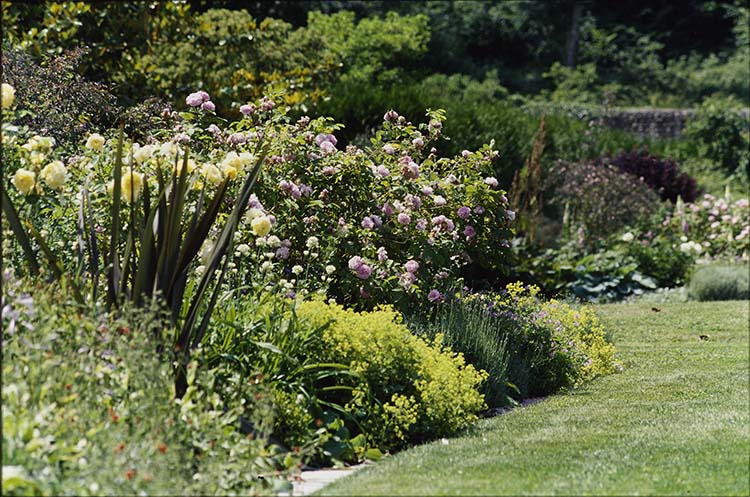 Jardin : parterre de fleurs