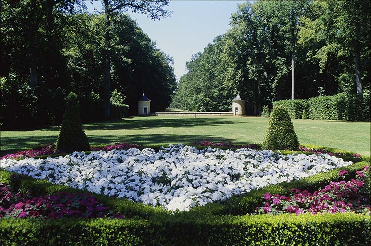 Parc : parterre de fleurs