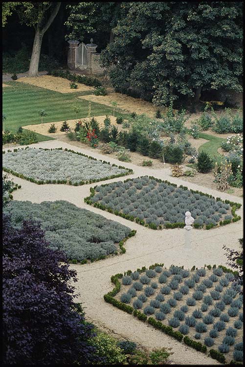 Jardin : parterres