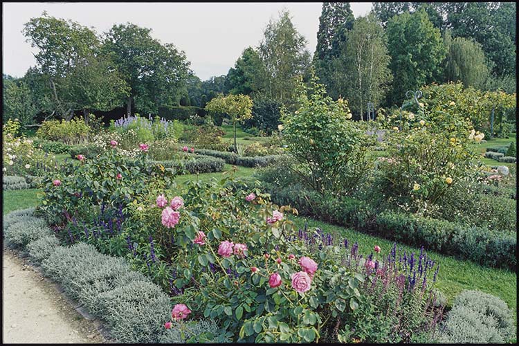 Massifs de fleurs