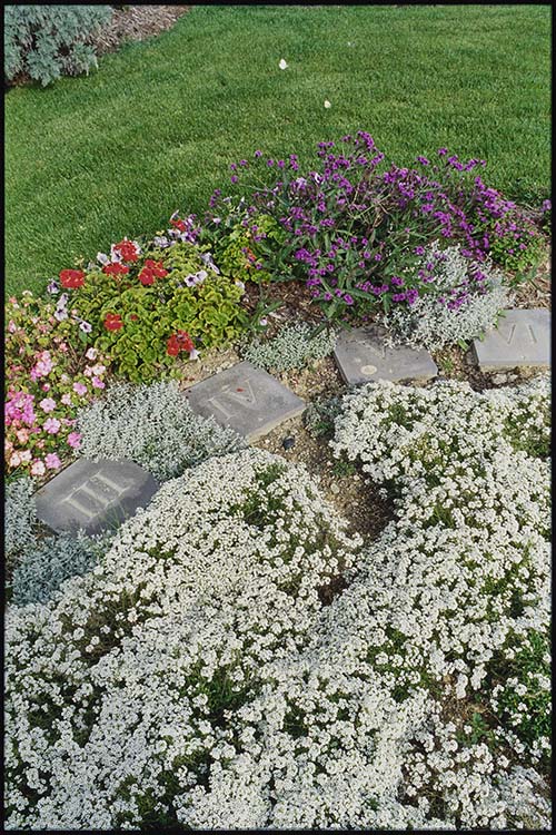 Massifs de fleurs ; Cadran solaire