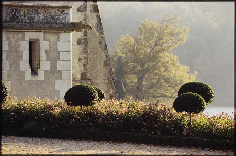 Façade : angle sud-ouest ; Arbres taillés ; Massif de fleurs