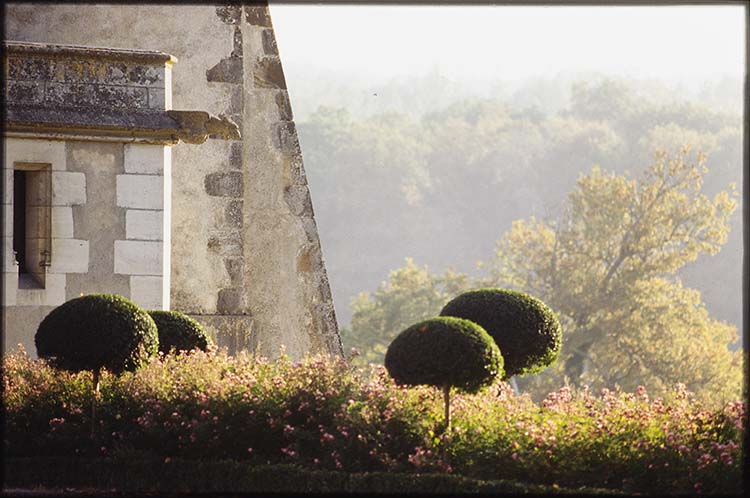 Façade : angle sud-ouest ; Arbres taillés ; Massif de fleurs