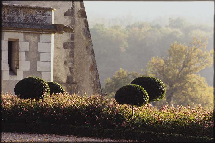 Façade : angle sud-ouest ; Arbres taillés ; Massif de fleurs