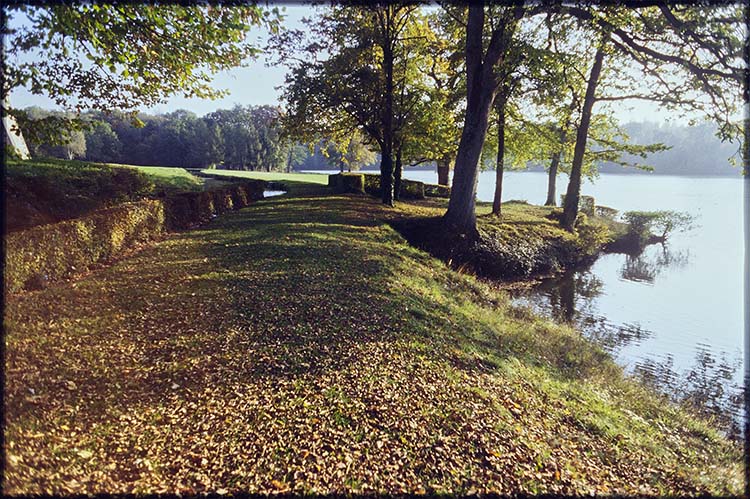 Parc ; Arbres ; Étang de la Verrerie