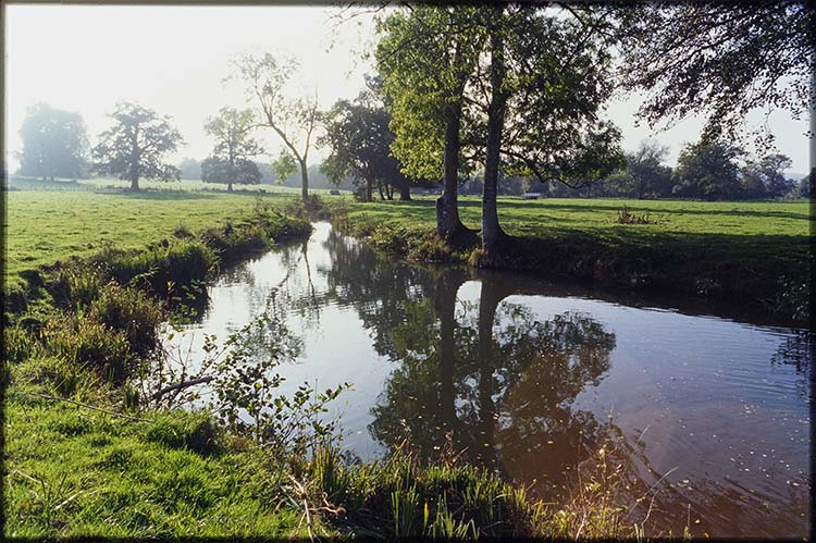 Parc ; Arbres ; Cours d’eau la Grande Sauldre