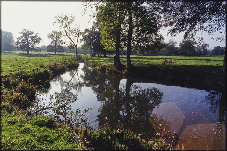 Parc ; Arbres ; Cours d’eau la Grande Sauldre