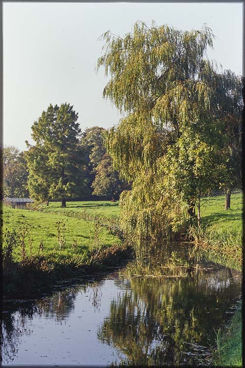 Parc ; Arbres ; Cours d’eau la Grande Sauldre