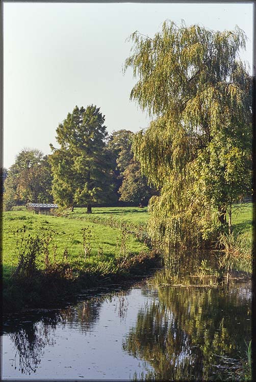 Parc ; Arbres ; Cours d’eau la Grande Sauldre