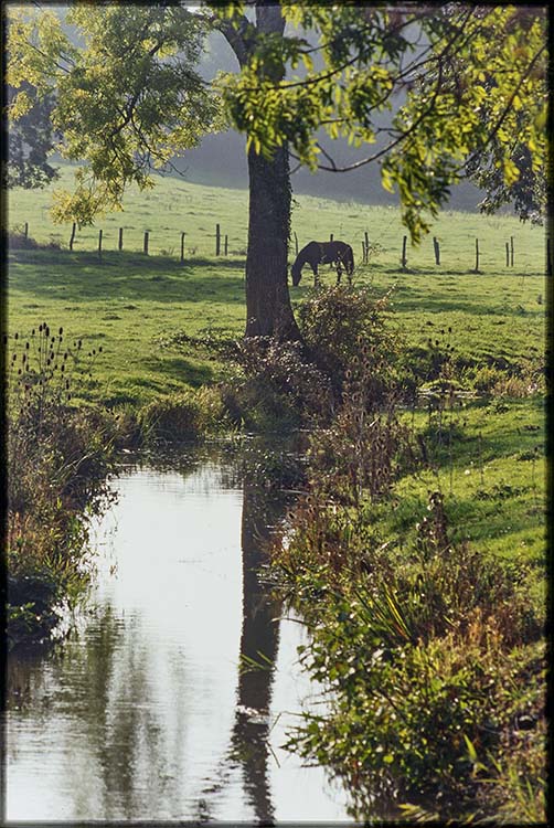 Parc ; Arbres ; Cours d’eau la Grande Sauldre