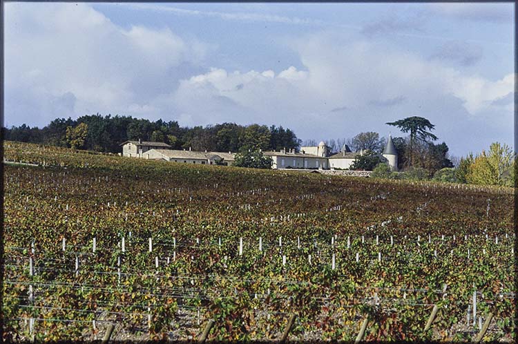 Vue générale ; Vignes