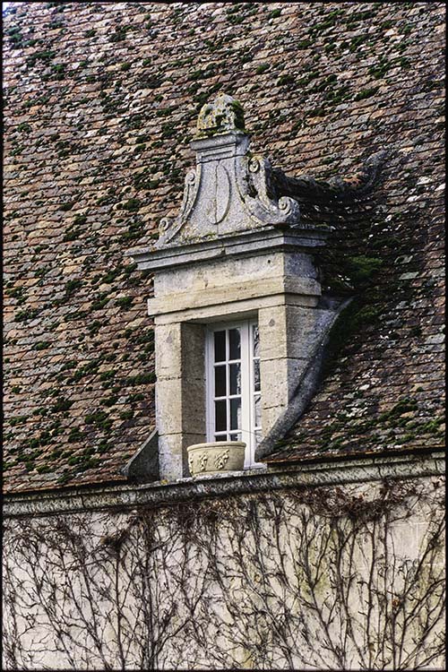 Façade ouest, partie nord : lucarne