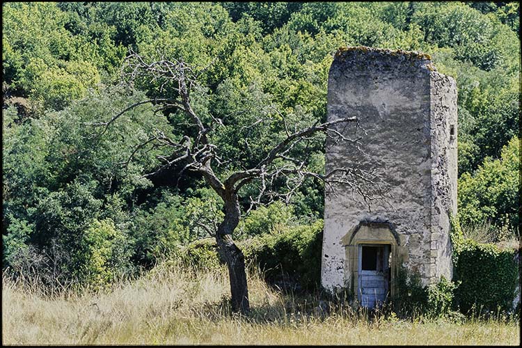 Parc ; Pigeonnier