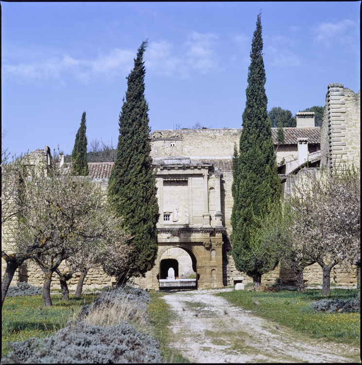 Vue d’ensemble ; Entrée ; Jardins