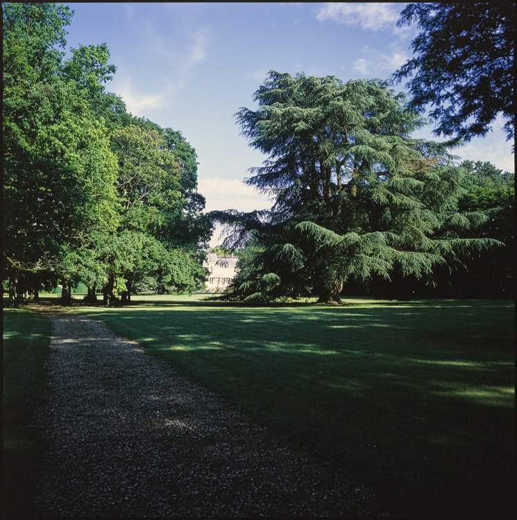 Vue d’ensemble des jardins