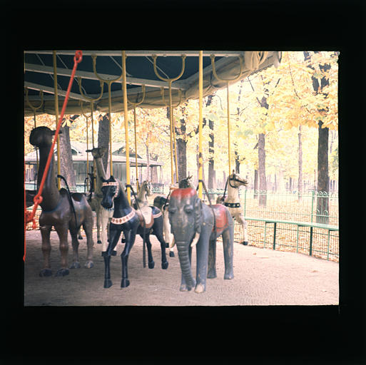 Manège : bois, polychrome, chevaux, éléphant, lama  1879 (détail)