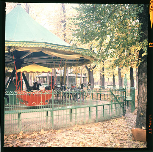 Manège : bois polychrome (vue éloignée)