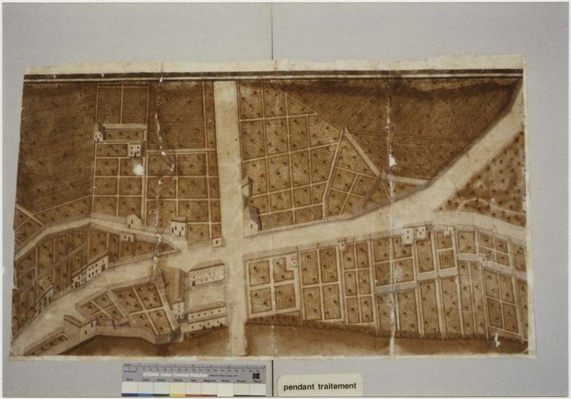 carte (plan topographique) : La ville de Ligny en 1791, détail