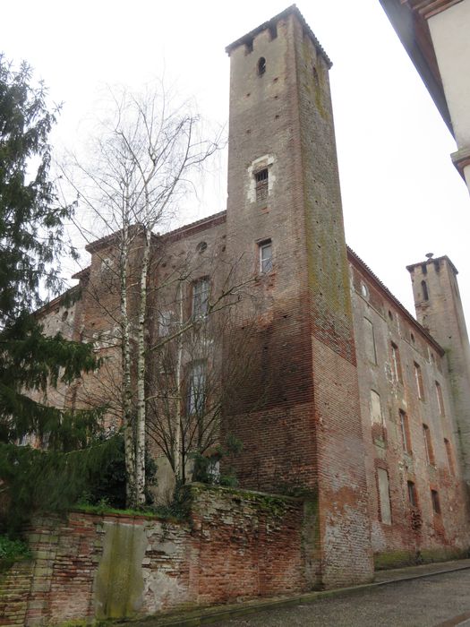 Château dit Richard Coeur de Lion : Ensemble nord-ouest, vue partielle