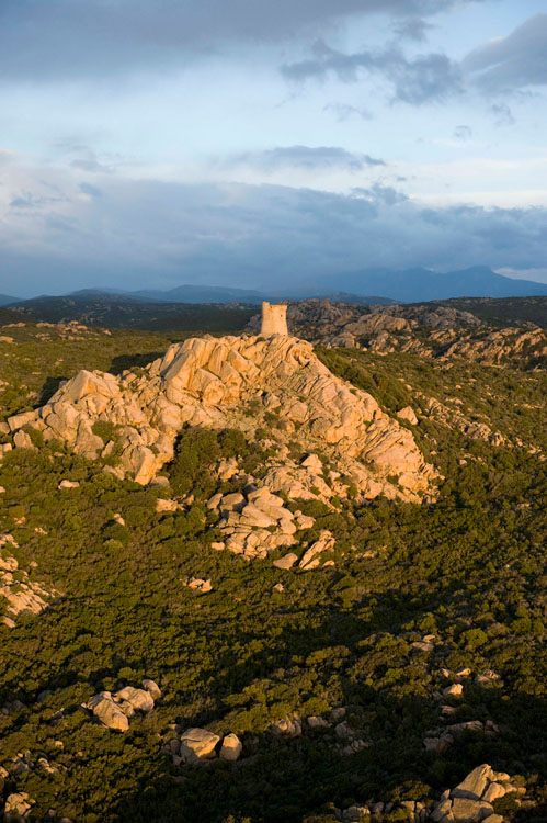 Vue d'ensemble de la tour génoise de Senetosa depuis l'ouest