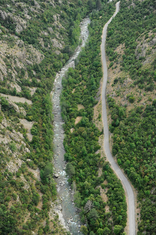 Gorges de l'Asco et route D147