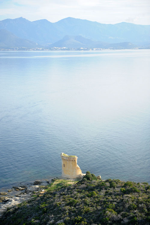 Tour génoise de Mortella depuis l'ouest