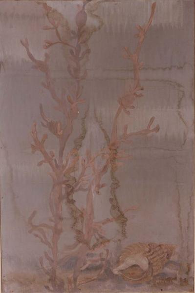 tableau : fonds marins, vue générale