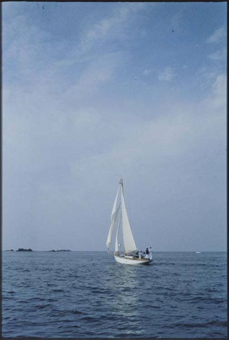 bateau de plaisance (cotre aurique) dit Viola