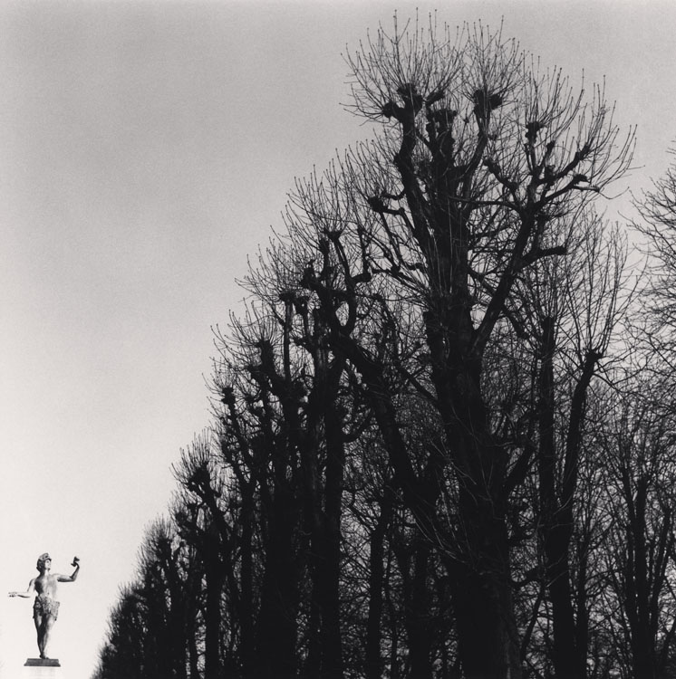 Statue and Trees, Luxembourg, Paris, France. 1987 ; [Statue et arbres.\ L’Acteur grec]