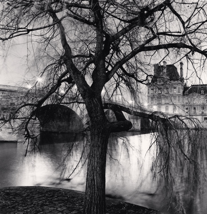 Tree, Pont Royal and Louvre, Paris, France. 2013 ; [Arbre, Pont-Royal et Le Louvre]