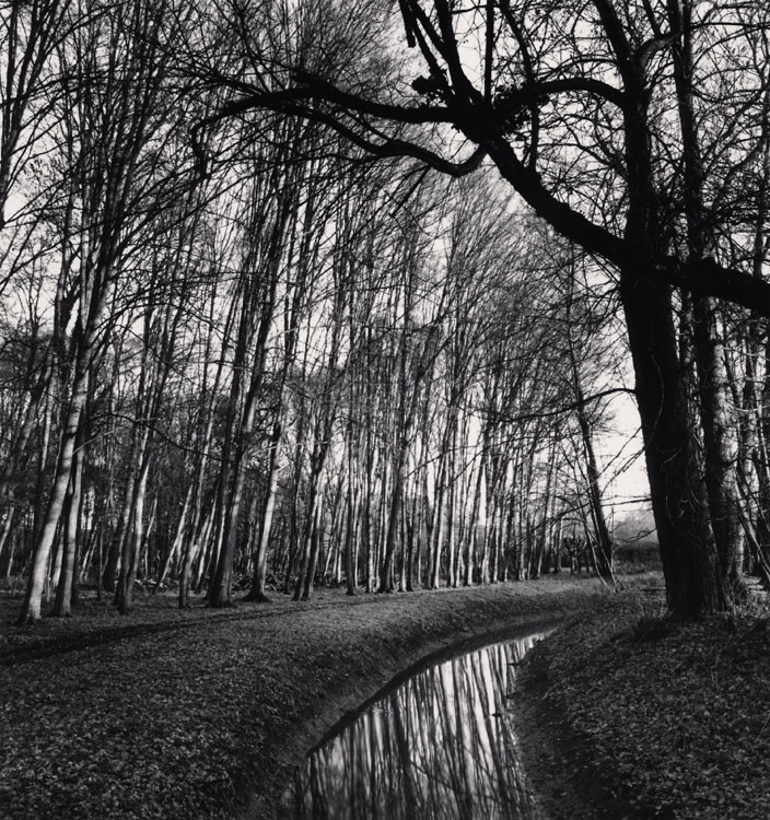 Forest and Stream, Château d'Haroué, Lorraine, France. 2013 ; [Forêt et ruisseau.\ Parc du château]