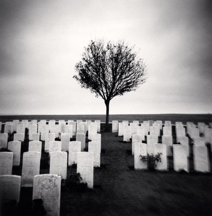 Gravestones and Tree, Thiepval, France. 2009 ; [Pierres tombales et arbre.\ Cimétière militaire]