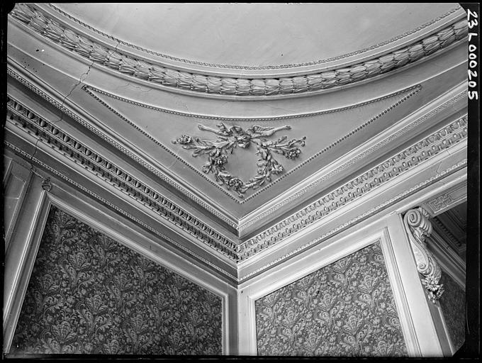 Grand salon, angle du plafond : détail des moulures et du décor mural