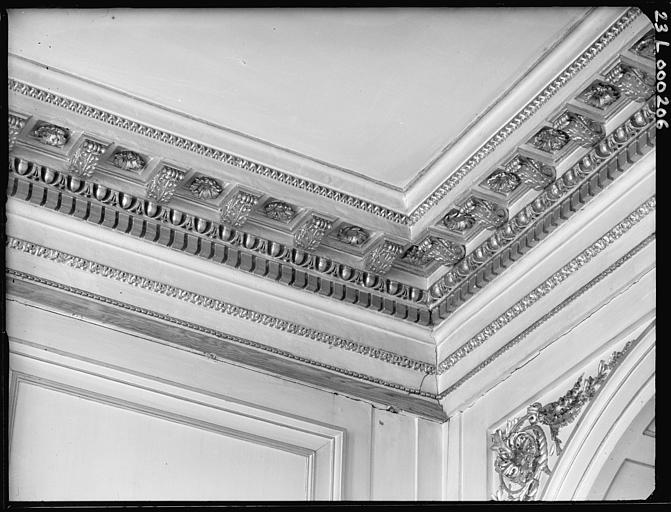 Grand salon, angle du plafond : détail des moulures et du décor mural