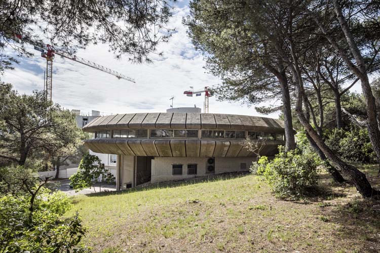 Vue d’ensemble depuis la pinède