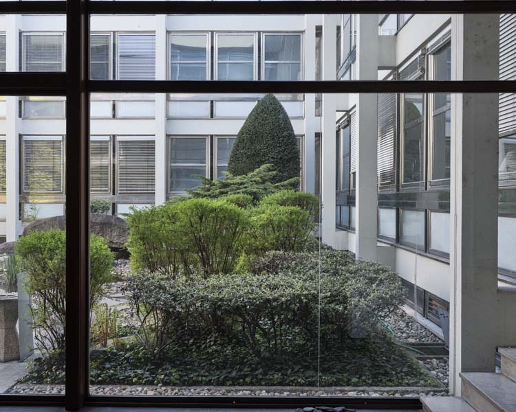 Patio arboré vu depuis l’intérieur