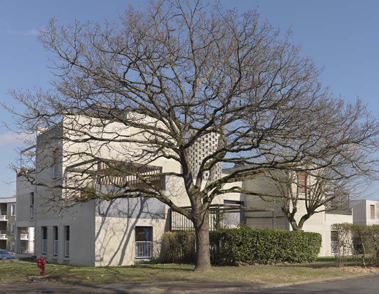 Vue d’ensemble derrière un arbre