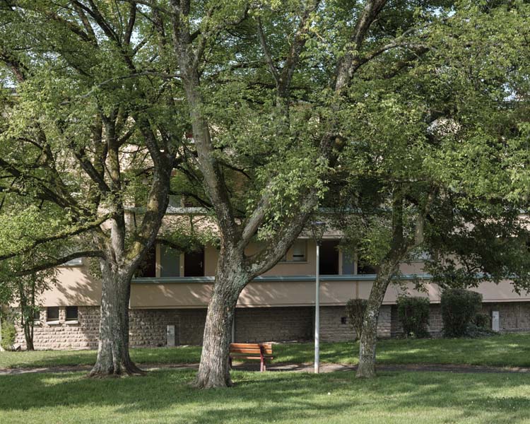 Façade  d’un petit immeuble collectif depuis un parc