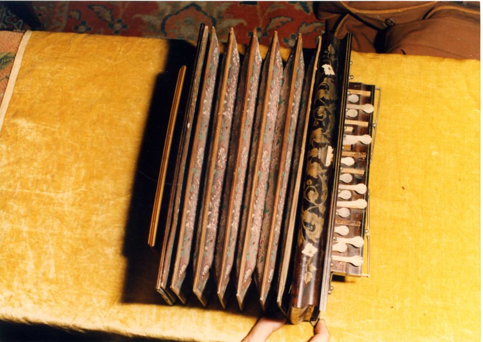 accordéon - © Ministère de la Culture (France), Médiathèque du patrimoine et de la photographie, Tous droits réservés