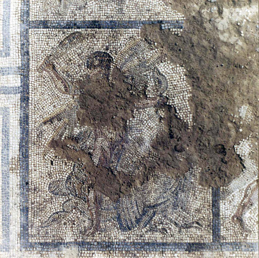 Mosaïque gallo-romaine : 'Les oiseaux du lac Stymphale', marbre