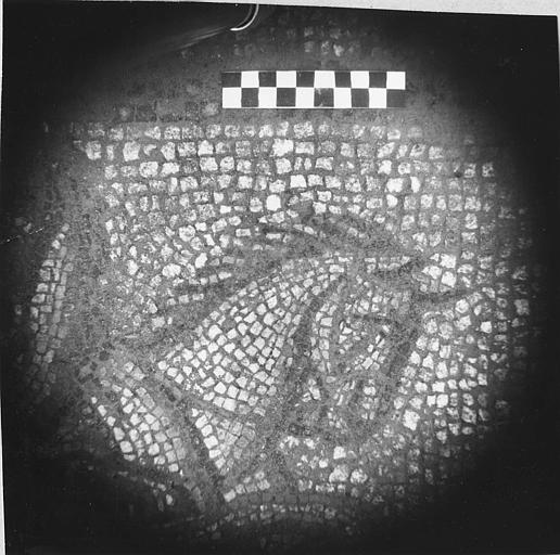 Mosaïque gallo-romaine : 'Les juments de Diomède', détail d'une tête de cheval, marbre