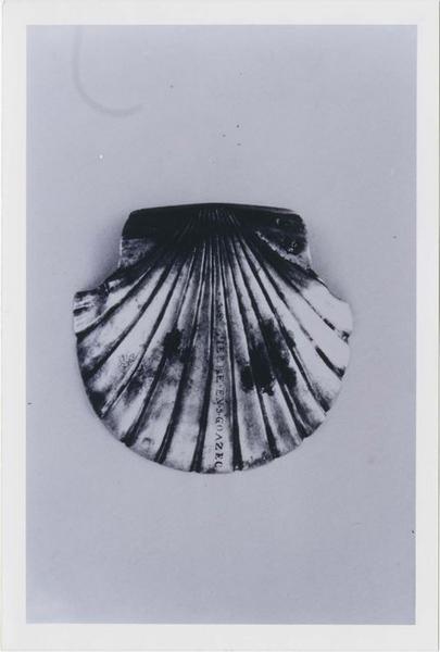 coquille de baptême, vue générale