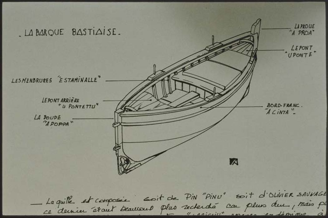 bateau de pêche : Barque bastiaise à voile latine (u squivu ou u pisdtellu) dite Sainte-Elisabeth, dessin, vue générale