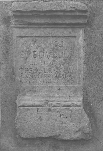 stèle, vue générale