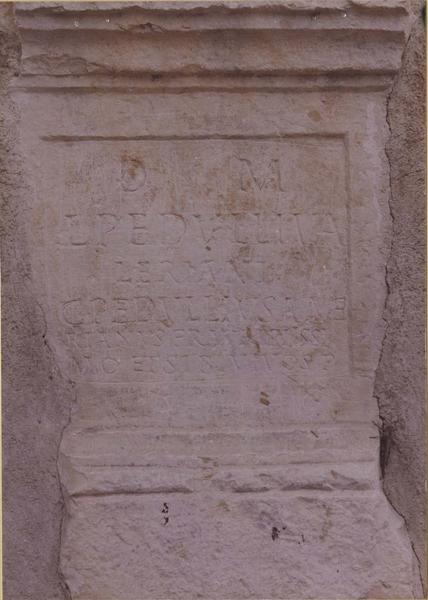 stèle