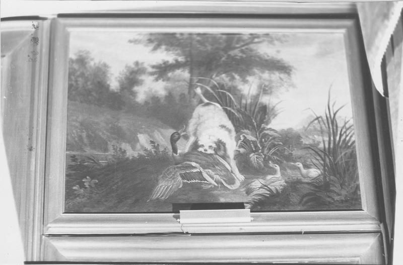 tableau : canard mordu par un barbet, vue générale