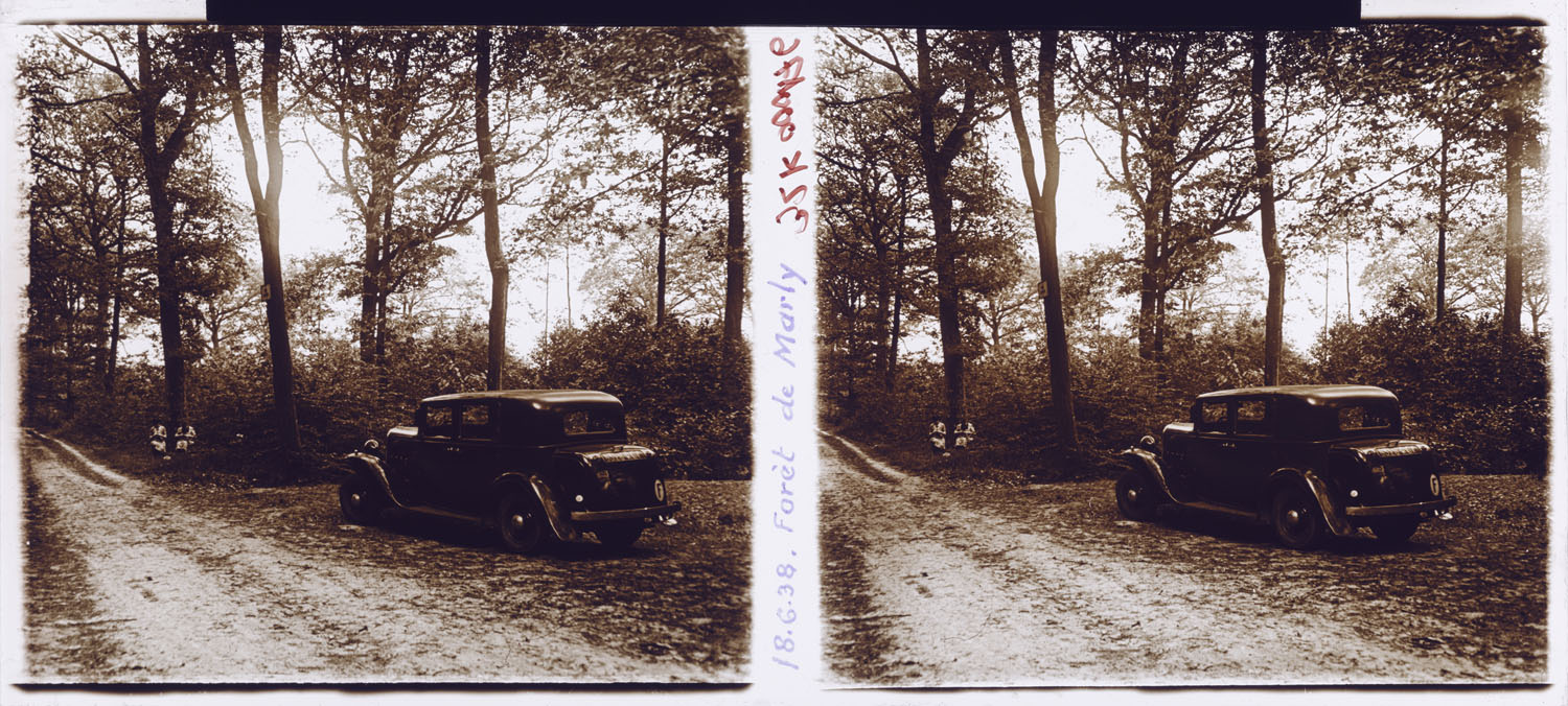 Forêt de Marly [Voiture garée en sous-bois]